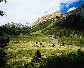 《博德之门3》未来更新说明：新等级上限新种族等