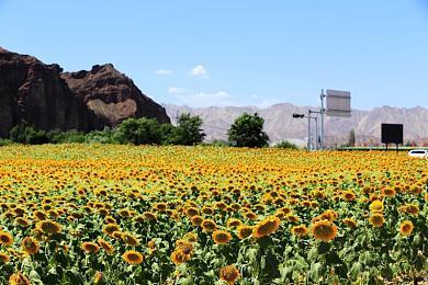 《死亡空间》之父感谢Motive忠实地重制了游戏